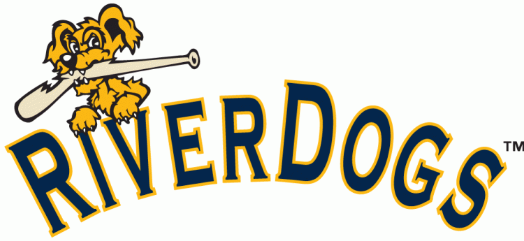 Charleston Riverdogs 2011-2015 Wordmark Logo decal supplier